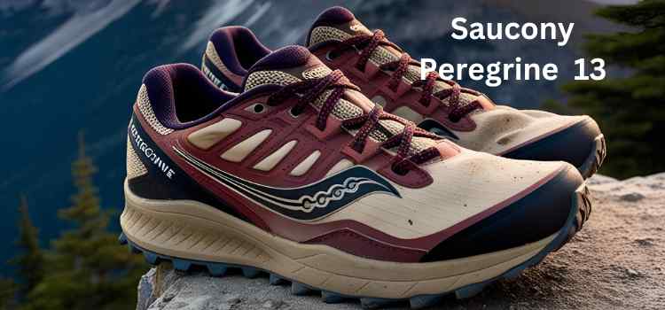 Saucony Peregrine 13